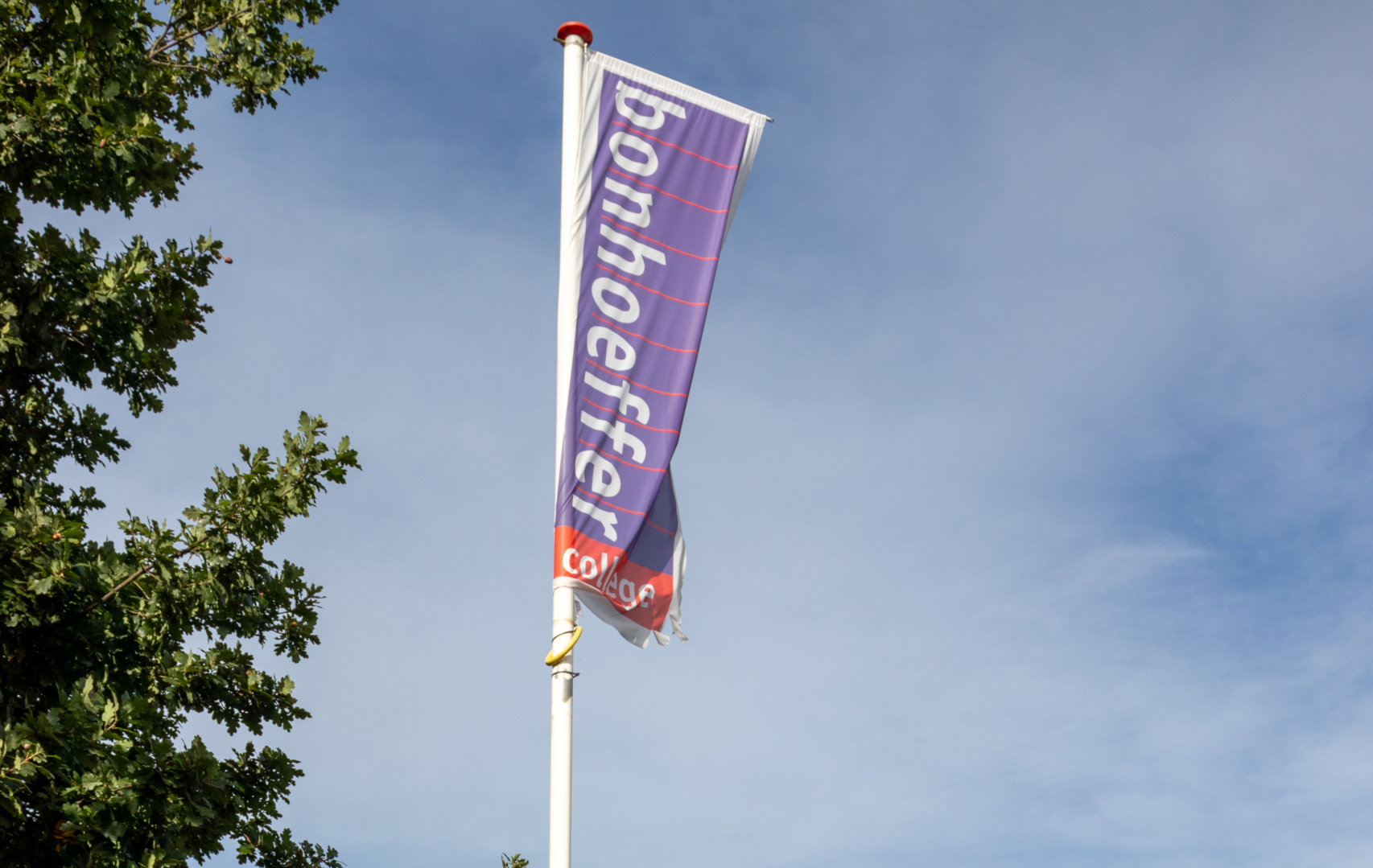 Bonhoeffercollege en Heliomare vso slaan de handen ineen