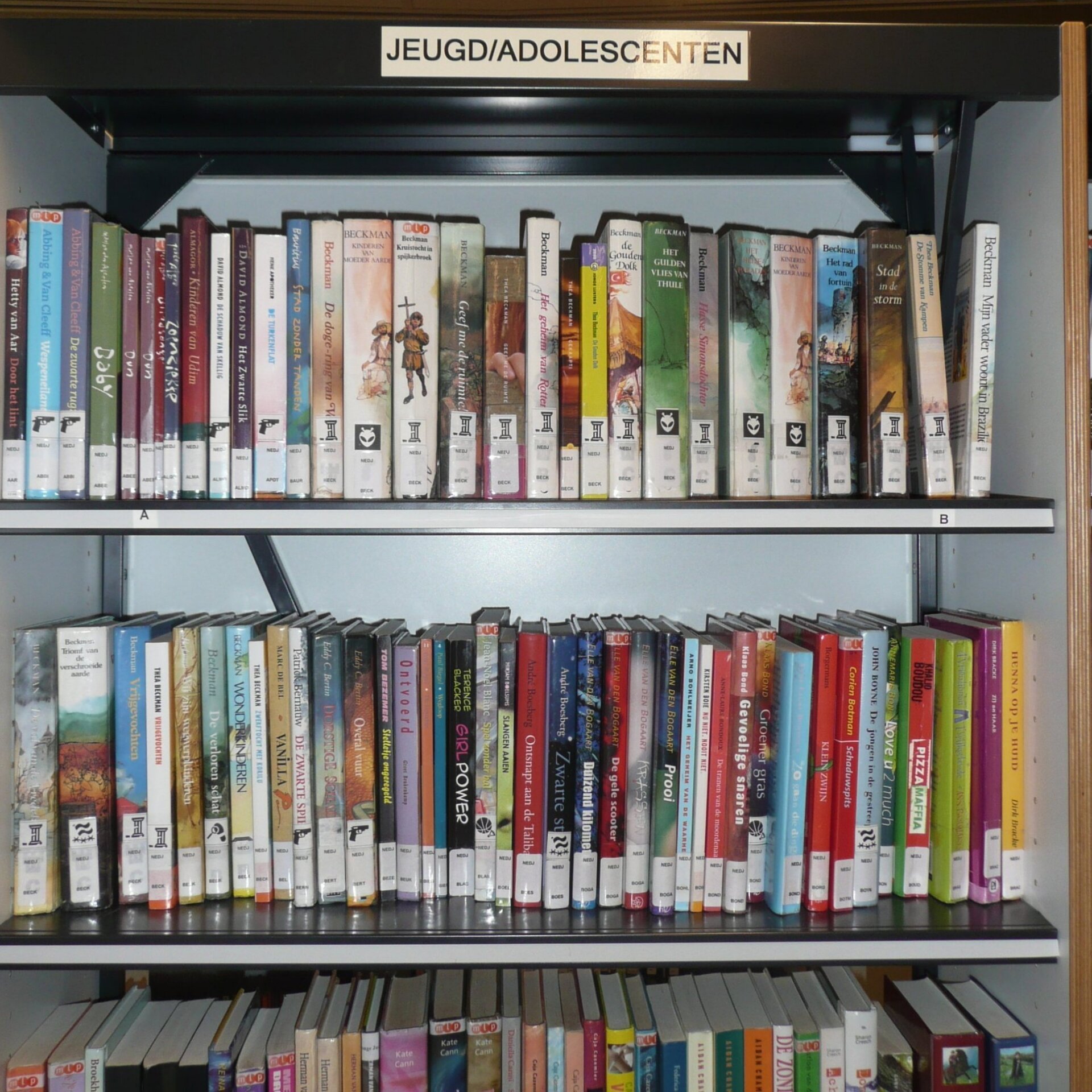 Gezocht! Vrijwilliger mediatheek